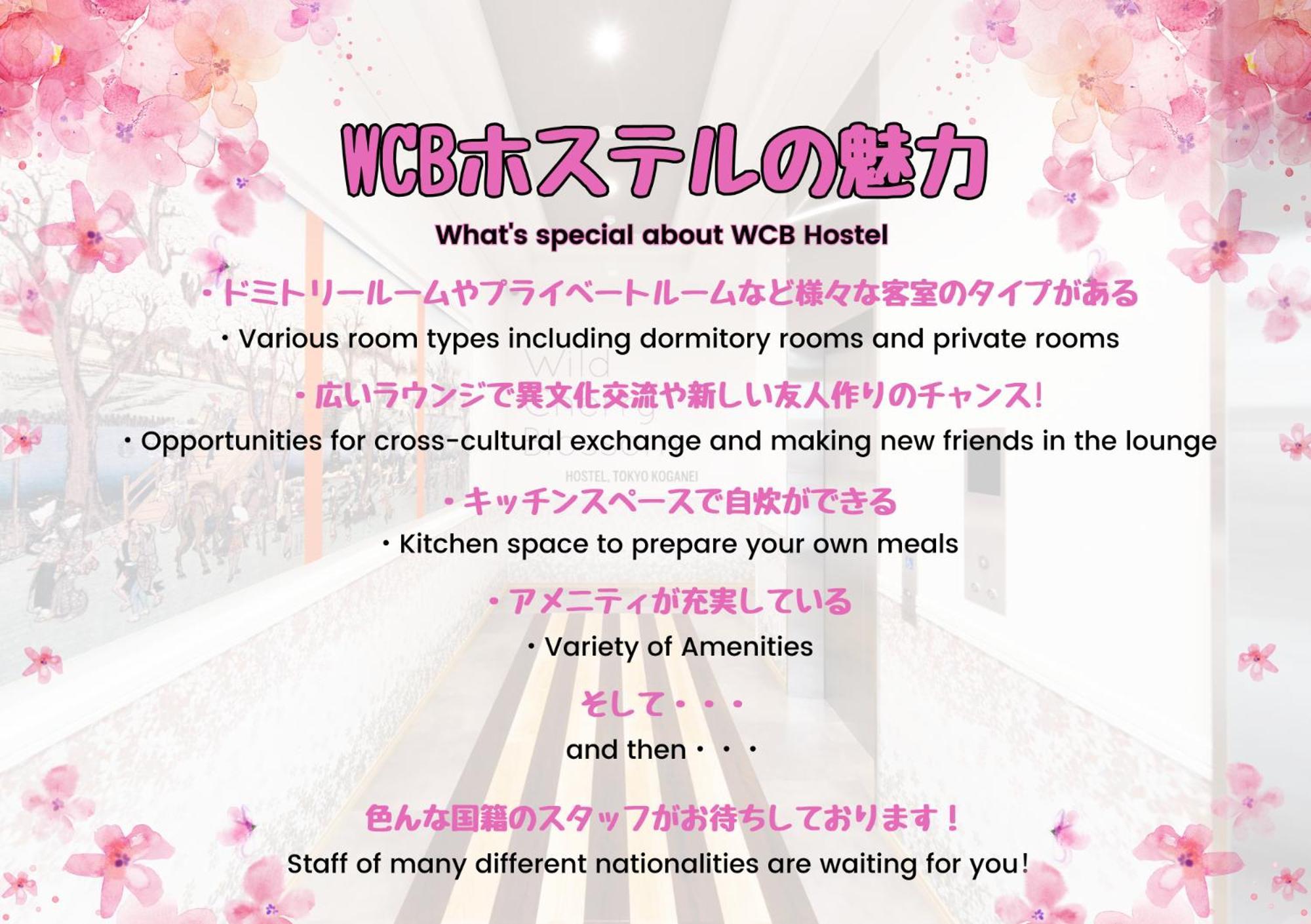Wild Cherry Blossom-Hostel,Tokyo Koganei- Luaran gambar